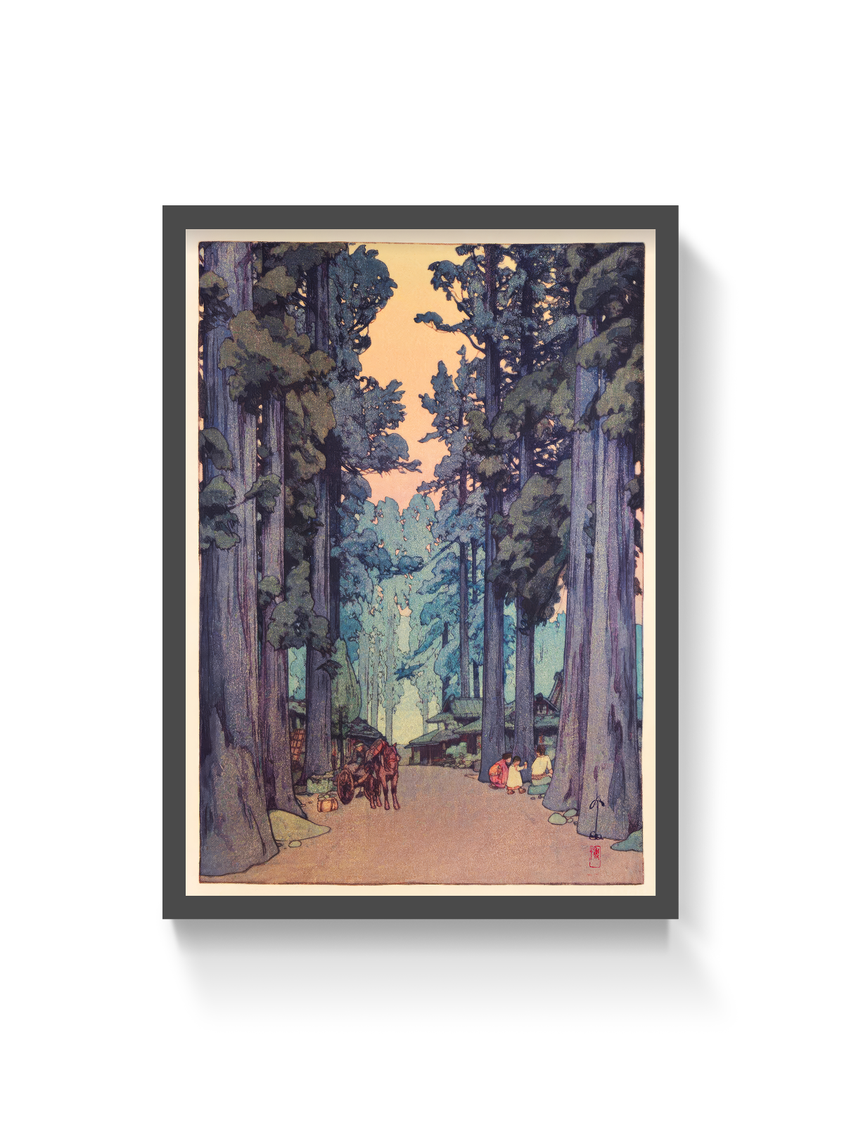 Cryptomeria Avenue