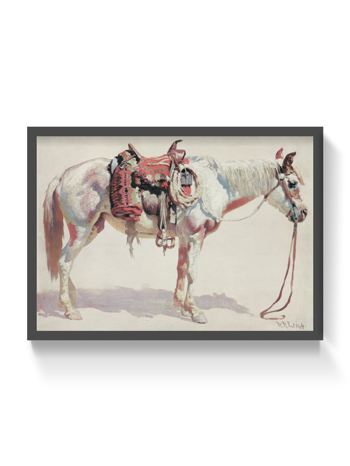 Horse Study